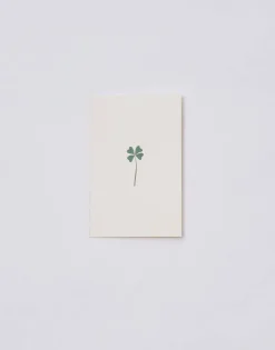 Postal Papel Con Sobre