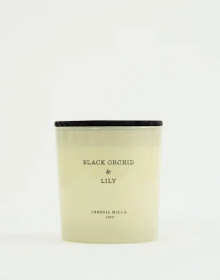 Vela 600gr Cereria Mollá